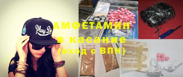 шишки Алексин