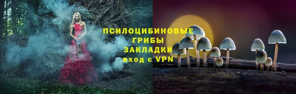 прущие грибы Алексеевка