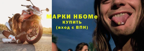 прущие грибы Алексеевка