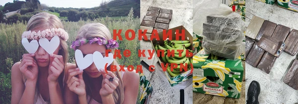 шишки Алексин