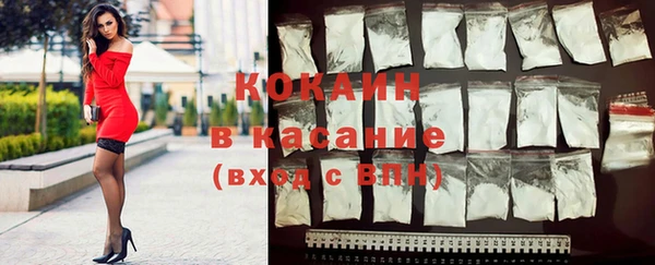 шишки Алексин