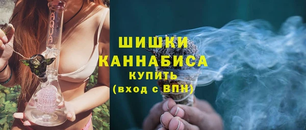 шишки Алексин