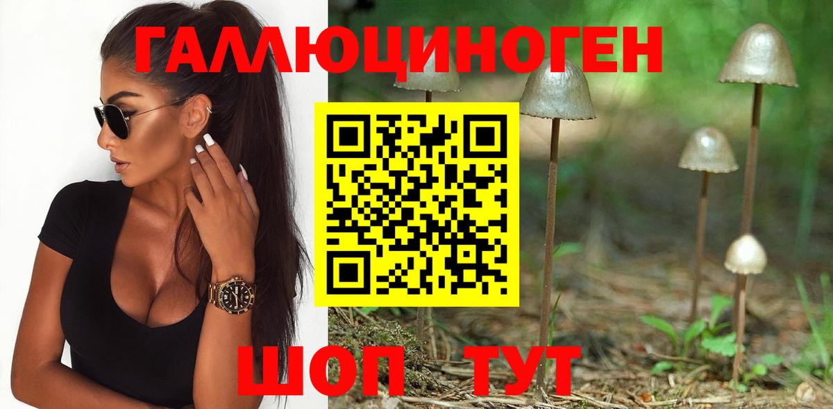 Конаково  Псилоцибиновые грибы Psilocybine cubensis  Вход с VPN 